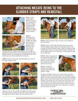 attaching mecate reins to the slobber straps and headstall