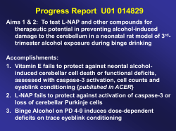 Testing FASD Therapeutic Agents: Neonatal Rodent Models