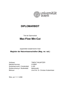 DIPLOMARBEIT Max-Flow Min-Cut