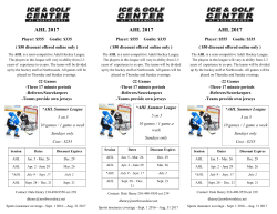 ADULT HOCKEY LEAGUES NEW FLYER 2017