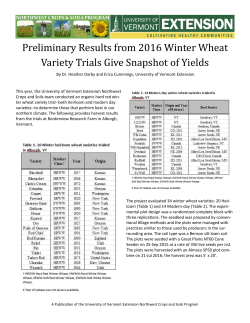 Preliminary Results from our 2016 Winter Wheat Variety Trials