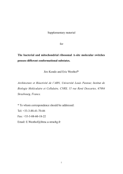 Supplementary material for The bacterial and mitochondrial