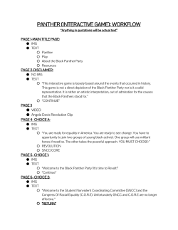 PANTHER (INTERACTIVE GAME): WORKFLOW