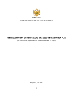 Fisheries Strategy and Action plan