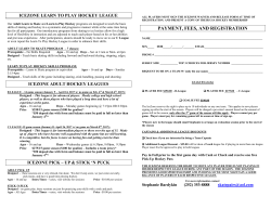 learn to play hockey level i