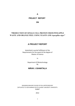 Production Of Single Cell Protein From