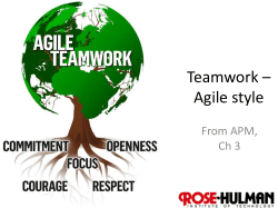 Teamwork * Agile style - Rose