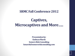 Insurance Company Overview Prepared for Wells Fargo by Somers