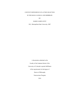 Context dependence of action selection in the basal ganglia and