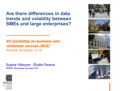 Do small and medium-sized firms (SMEs) have a specific economic