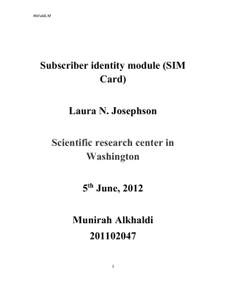 SIM Card