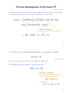 Formal development of fermionic PI