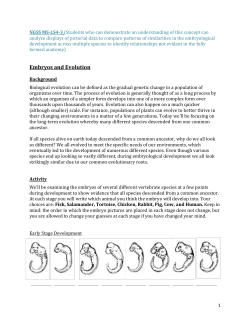 NGSS Embryo Comparison
