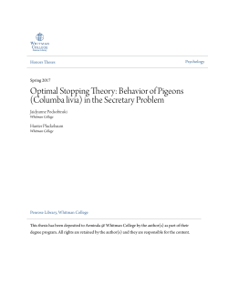 Optimal Stopping Theory: Behavior of Pigeons