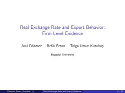 Real Exchange Rate and Export Behavior: Firm Level Evidence