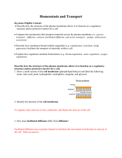 Homeostasis and Transport