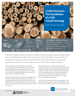 The Foundation of a Safe Growth Strategy
