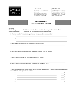 questionnaire the small firm merger