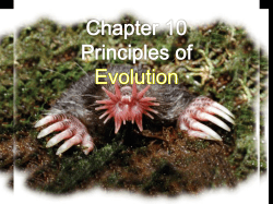 Unit 5 Chapter 13 The Theory of Evolution