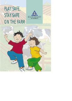 Cover Play Safe (2) - Health and Safety Authority