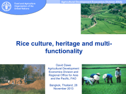 Agricultural Development Economics Division (ESA)