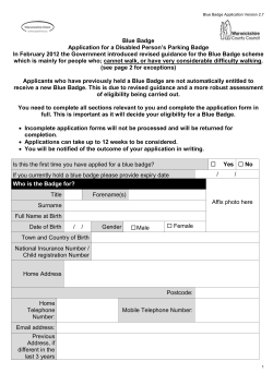 Blue Badge Application large font