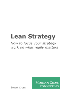 Lean Strategy - Morgan Cross Consulting