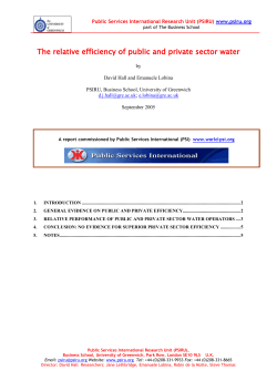 2005-10-W-effic - Public Services International Research Unit