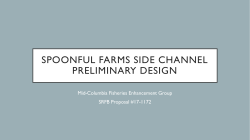 Spoonful farms side channel preliminary design