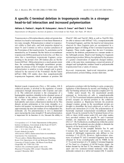 A specific C-terminal deletion in tropomyosin results in a stronger