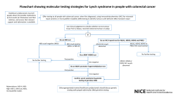 Flowchart showing molecular testing strategies for Lynch