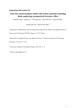 Template for Electronic Submission to ACS