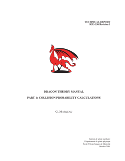 dragon theory manual part 1: collision probability calculations