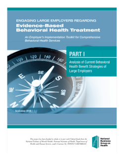 Analysis of Current Behavioral Health Benefit Strategies of Large