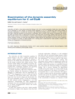 Examination of the dynamic assembly equilibrium for E. coli ClpB
