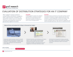 evaluation of distribution strategies for an it company