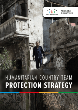 protection strategy - Global Protection Cluster