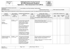 B2 Appendix 2 &ndash; Risk Assessment Form (SR12)