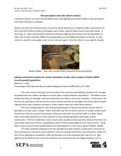 Discussion - University of Illinois Urbana