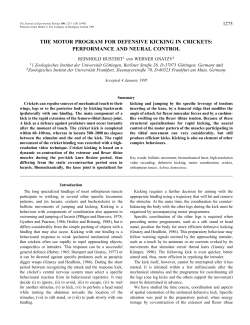 the motor program for defensive kicking in crickets