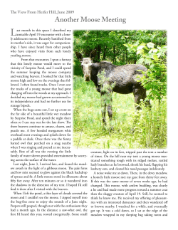 Another Moose Meeting