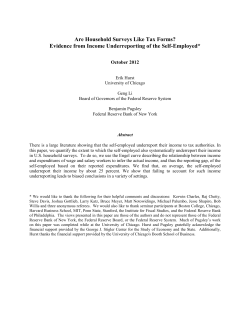 Evidence from Income Underreporting of the Self