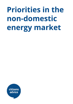 Priorities in the non-domestic energy market