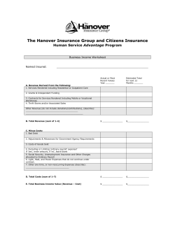 Business Income Worksheet