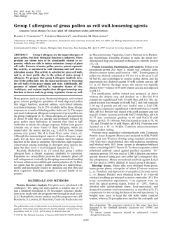 Group I allergens of grass pollen as cell wall