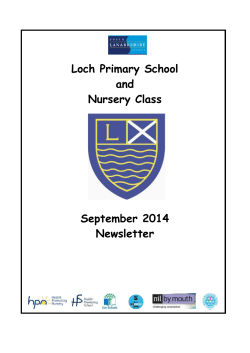 HMIe Action Plan - Loch Primary School