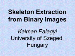 Skeleton Extraction from Binary Images Kalman Palagyi