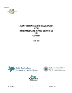 strategic framework for intermediate care services