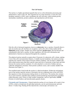 Cell Parts Notes