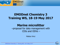 Presentazione di PowerPoint